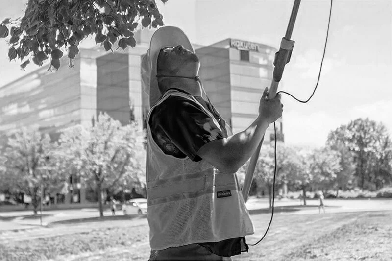 Man working to prune tree using long saw tool good facility management