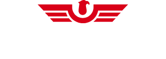 Rubicon logo