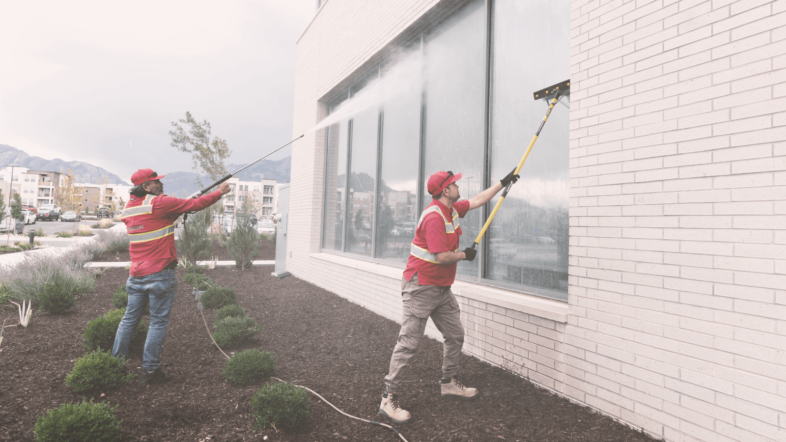 Window Washing